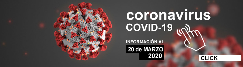 Información de Escuela del Sur CORONAVIRUS